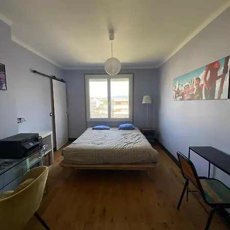 Espace Et Confort Au Coeur De Ville Apartment Annecy